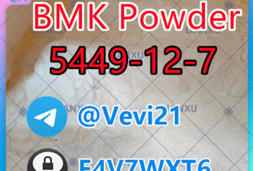 China Factory Supply BMK Powder BMK Oil CAS 5449-12-7 with 100% Safe Delivery and Samples Available