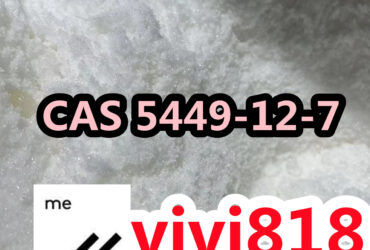 CAS 5449-12-7 The New BMK Powder Ready To Sell Glycidic Acid (Sodium Salt)