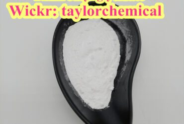 Best Price CAS 593-81-7 209-810-0 Trimethylamine Hydrochloride